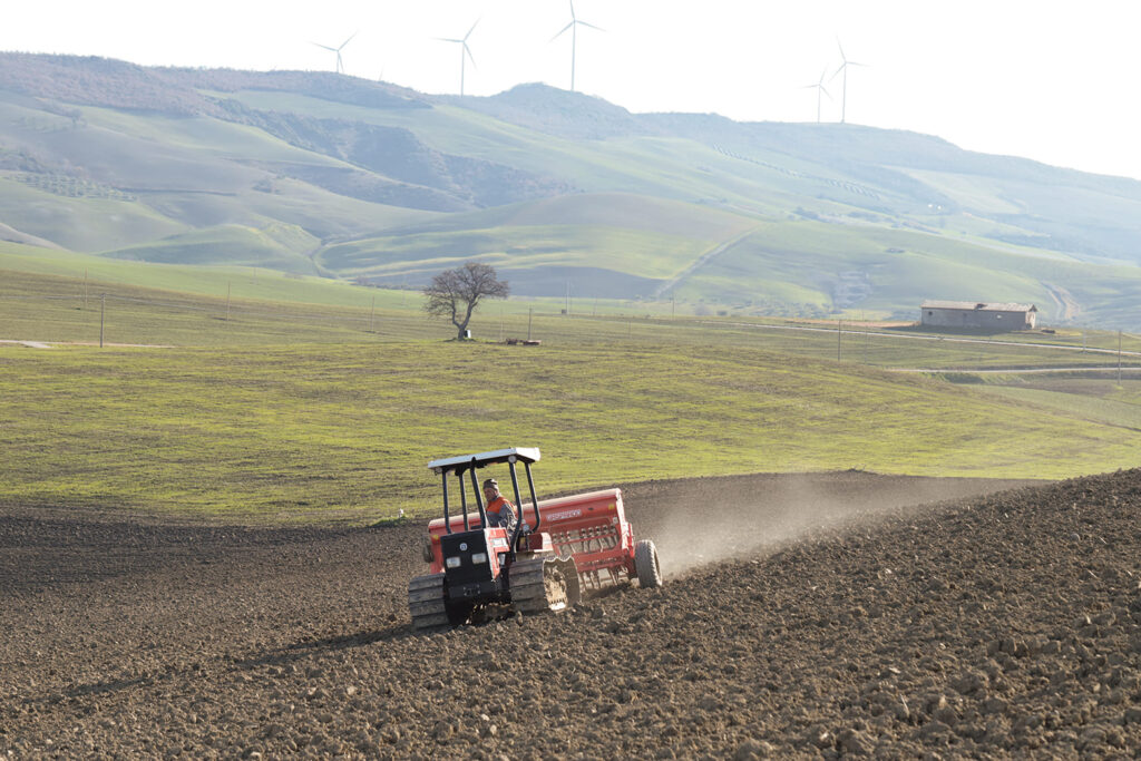 ivi-design-&-comunicazione-azienda agricola coronamd ividesign 4