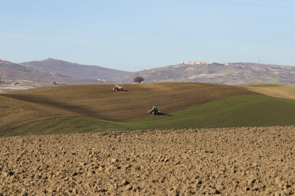ivi-design-&-comunicazione-azienda agricola coronamd ividesign 5
