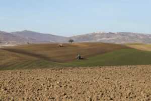 ivi-design-&-comunicazione-azienda agricola coronamd ividesign 5