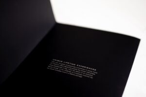 ivi-design-&-comunicazione-sit platinum corporate 8